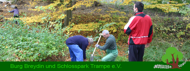 Arbeiten im Park